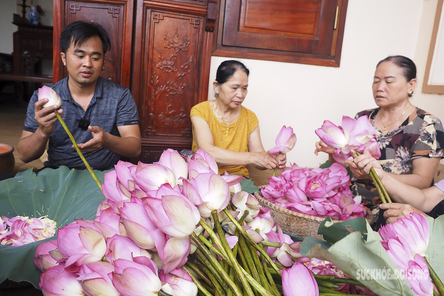 Quý hiếm đóa sen sinh đôi mang tên Tịnh Đế Liên - Ảnh 8.