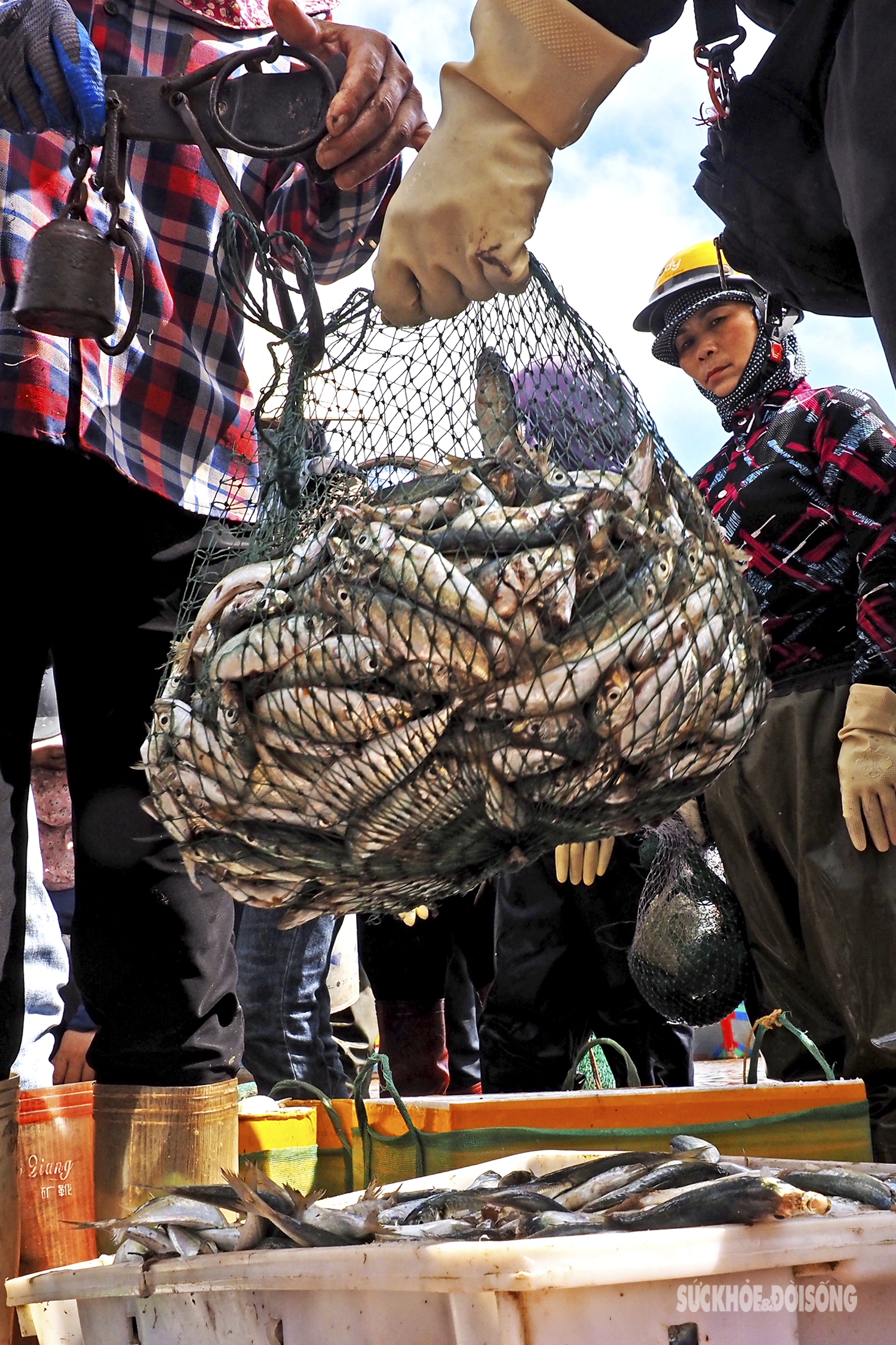 Giữa trưa hè oi ả, chợ cá Giao Hải vẫn tấp nập kẻ bán người mua - Ảnh 6.