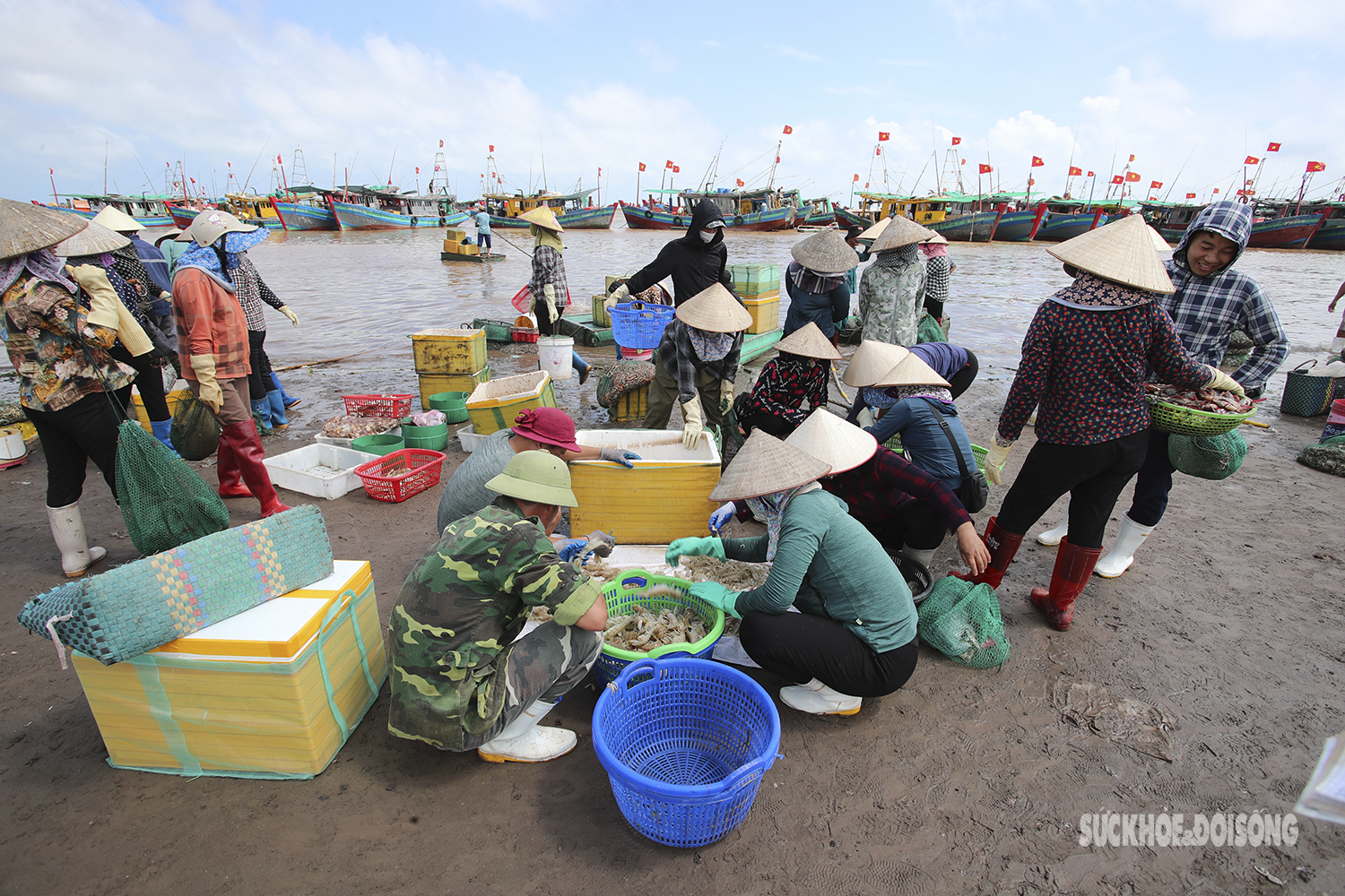 Giữa trưa hè oi ả, chợ cá Giao Hải vẫn tấp nập kẻ bán người mua - Ảnh 7.