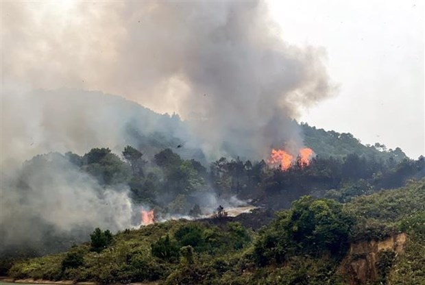 Đau lòng cháy rừng ở Quảng Ninh khiến hai người dân tử vong - Ảnh 1.