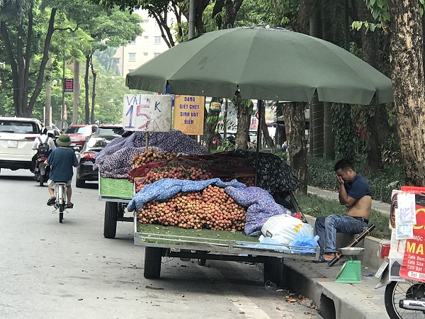 Nhức nhối &quot;chợ&quot; hoa quả dưới lòng đường Nguyễn Hữu Thọ - Ảnh 4.
