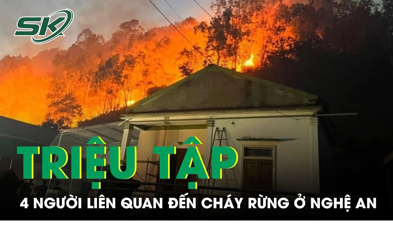 Đi khảo sát điện gió, nhóm người hút thuốc làm cháy rừng tại Nghệ An 