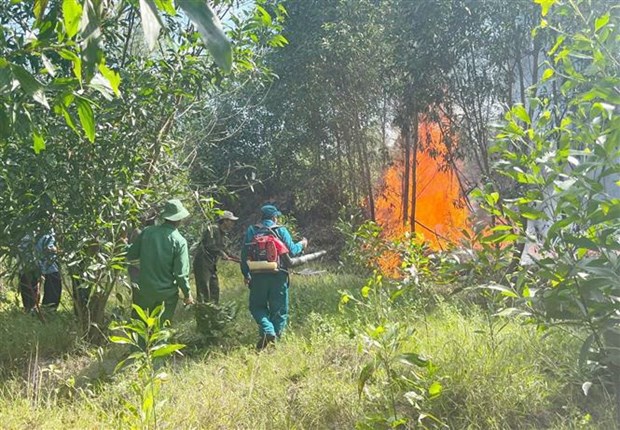 Ninh Bình huy động 300 người kịp thời dập tắt vụ cháy rừng phòng hộ - Ảnh 1.