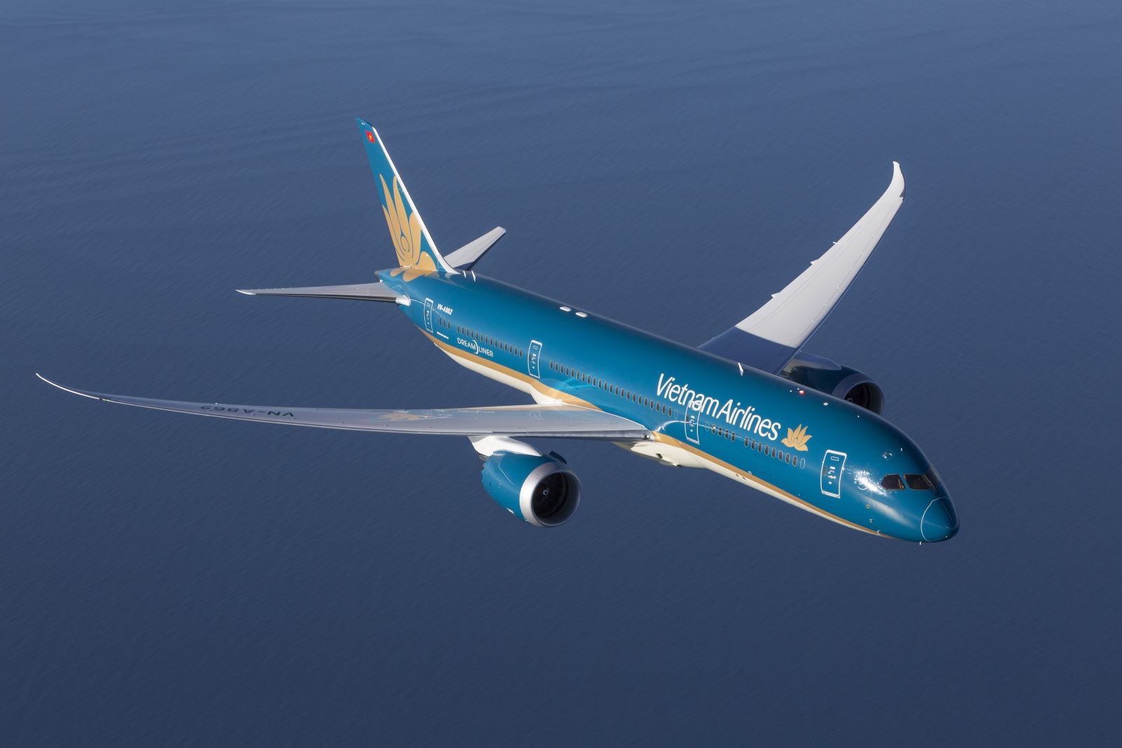 Máy bay Vietnam Airlines hạ cánh khẩn cấp tại Dubai cấp cứu hành khách - Ảnh 1.