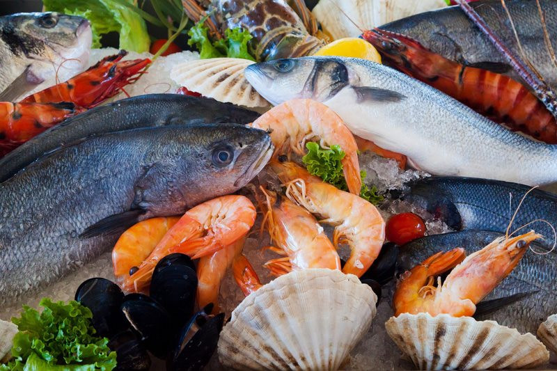 Hải sản là những thức ăn bổ dưỡng, tốt cho cơ thể mà không làm tăng cân. Nhưng nó lại tiềm ẩn nguy cơ có thể bị nhiễm bệnh từ hải sản. Ảnh minh họa