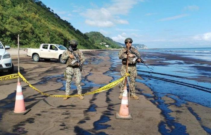 Ít nhất 1.200 thùng dầu thô tràn ra bãi biển nổi tiếng tại Ecuador - Ảnh 1.