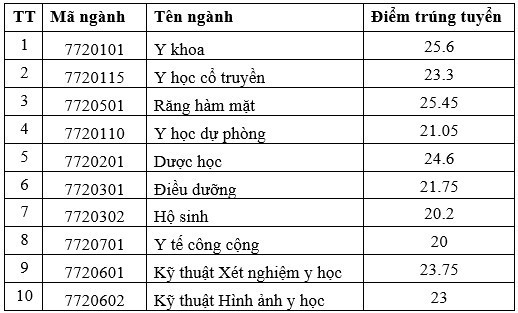 Điểm chuẩn vào các trường đại học Y Dược dự kiến sẽ tăng - Ảnh 11.