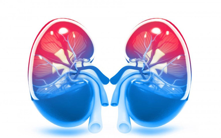 Viêm cầu thận cấp ở trẻ cần phát hiện sớm để ngăn ngừa biến chứng nguy hiểm- Ảnh 1. Viêm cầu thận cấp ở trẻ, dự phòng thế nào?