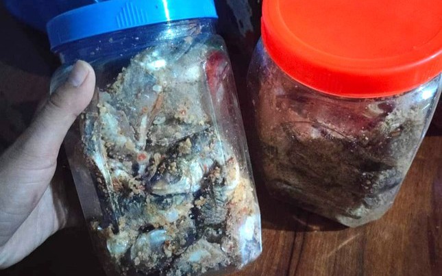 Nguy cơ ngộ độc Botulinum từ cá ủ chua: Khi món ăn truyền thống tiềm ẩn nguy cơ tử vong