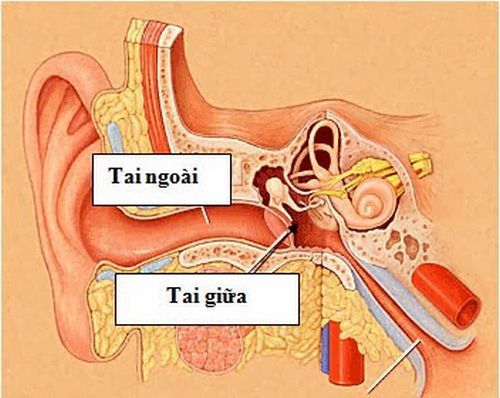 Tùy theo nguyên nhân và giai đoạn của bệnh mà cách điều trị khác nhau.