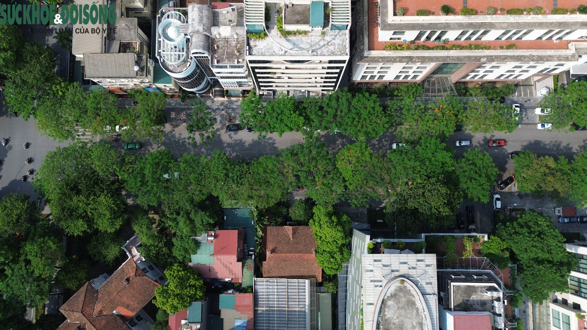Ngắm nhìn toàn cảnh tuyến phố Lý Thường Kiệt được quy hoạch thiết kế đô thị riêng - Ảnh 12.