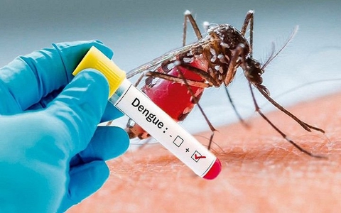Sốt xuất huyết dengue khi nào cần xét nghiệm?