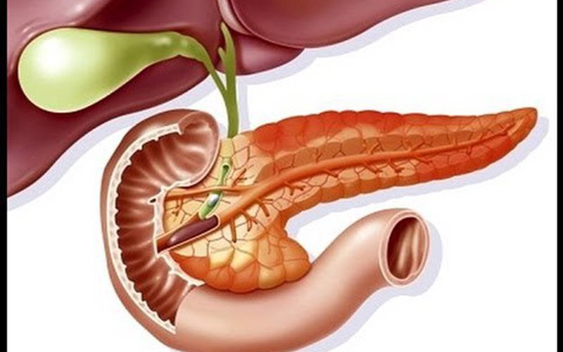 Bệnh sán lá gan lớn: Nguyên nhân, triệu chứng và chẩn đoán