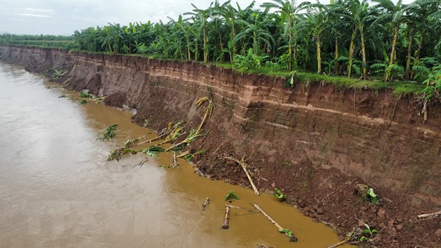 Phú Thọ: Sạt lở nghiêm trọng bờ Sông Thao, đe dọa hơn 1.000 hộ dân - Ảnh 1.