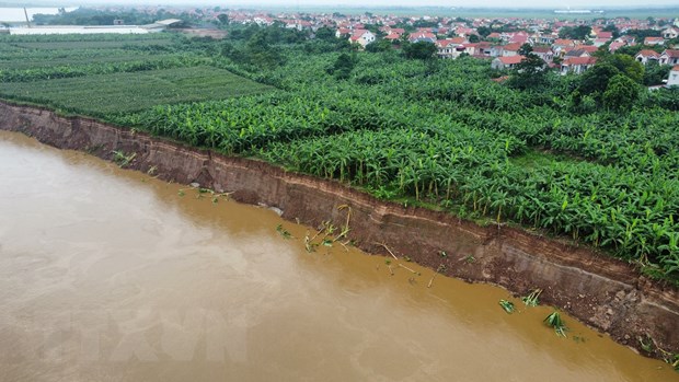 Phú Thọ: Sạt lở nghiêm trọng bờ Sông Thao, đe dọa hơn 1.000 hộ dân - Ảnh 2.
