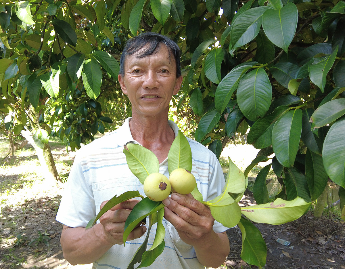Người đàn ông ‘đút túi’ 1 tỷ đồng/năm nhờ trồng toàn cây ăn trái ai cũng mê - Ảnh 1.