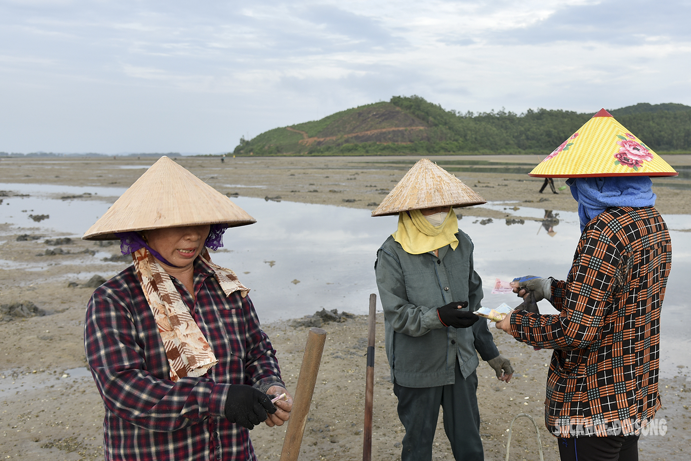 Nghề săn “vàng ròng” giữa lòng di sản của phụ nữ Vân Đồn - Ảnh 11.