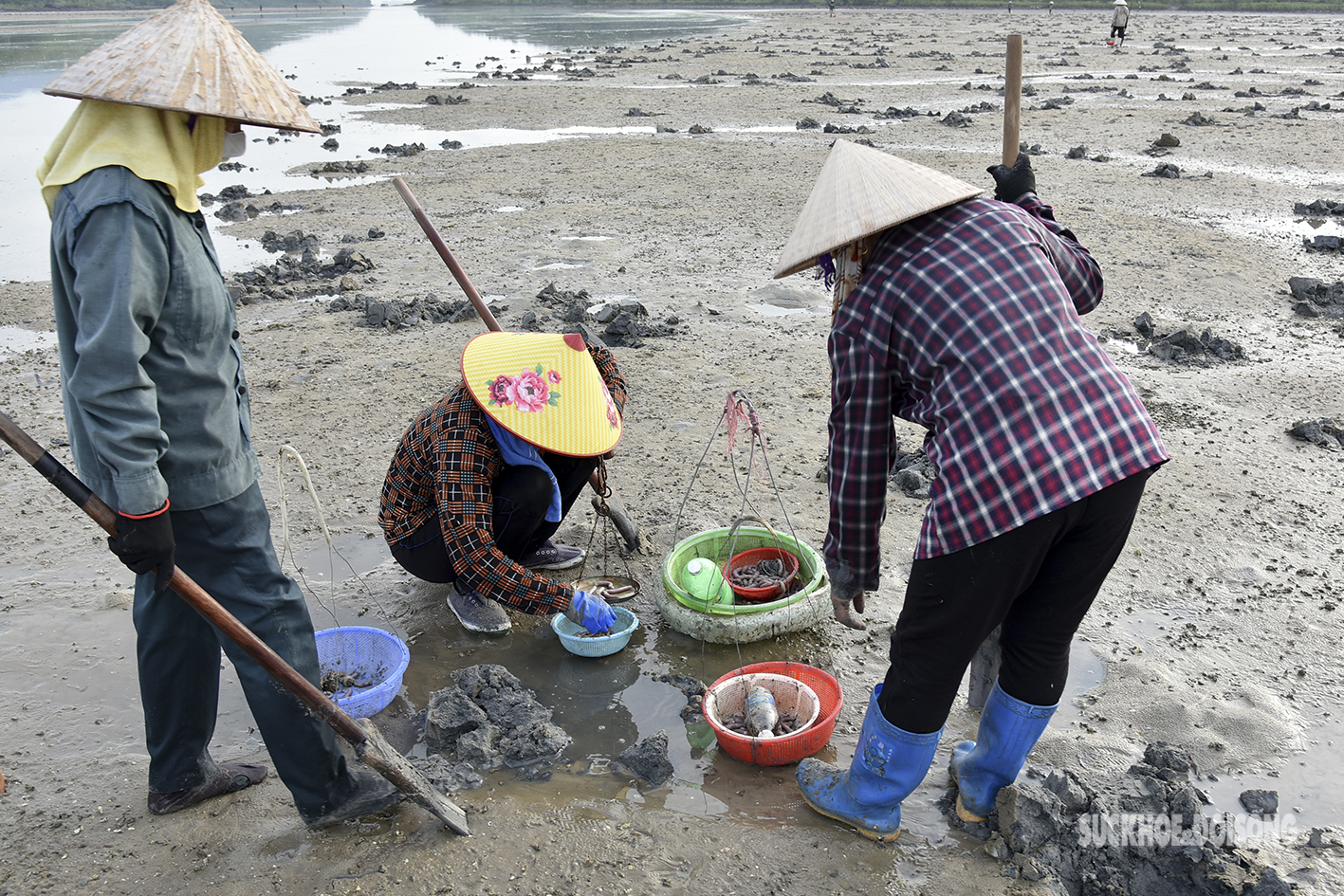 Nghề săn “vàng ròng” giữa lòng di sản của phụ nữ Vân Đồn - Ảnh 9.