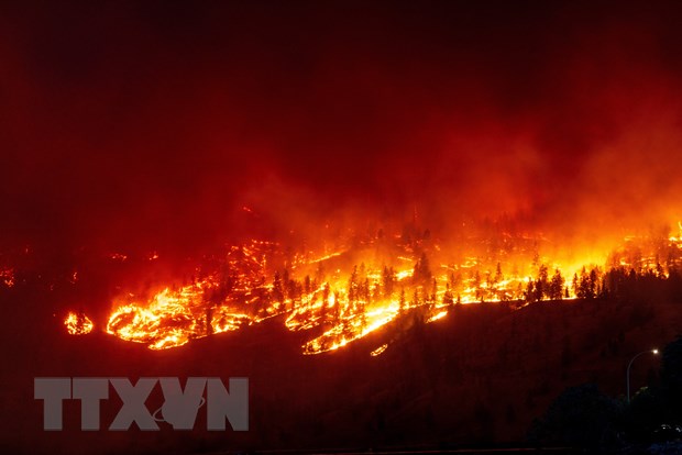 Canada: Bang British Columbia tuyên bố tình trạng khẩn cấp vì cháy rừng - Ảnh 1.