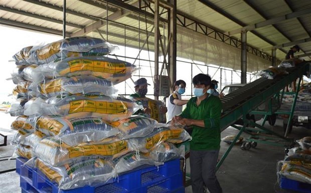 Thị trường nông sản: Giá gạo thơm được đàm phán 580-630 USD mỗi tấn - Ảnh 1.