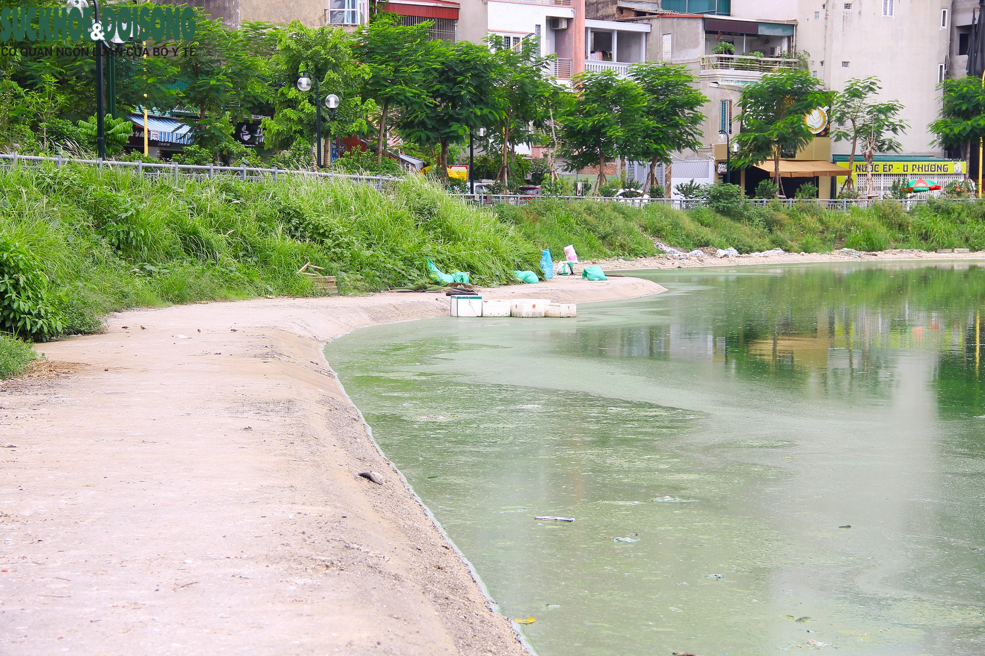 Hồ nước tại trung tâm Hà Nội ô nhiễm, mặt hồ nổi mảng bám, nước bốc mùi - Ảnh 2.