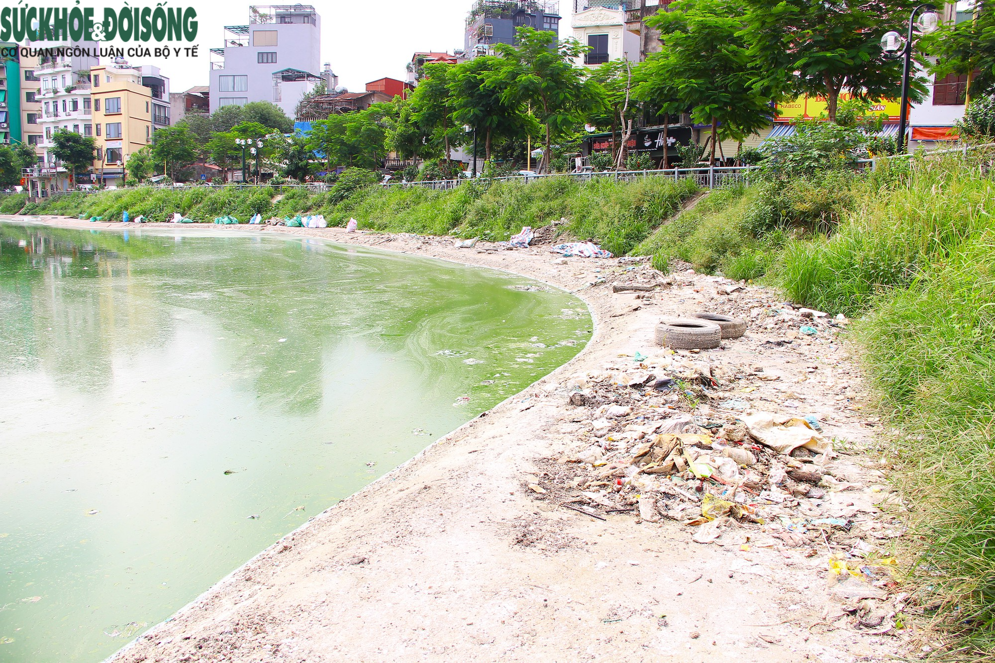 Hồ nước tại trung tâm Hà Nội ô nhiễm, mặt hồ nổi mảng bám, nước bốc mùi - Ảnh 3.