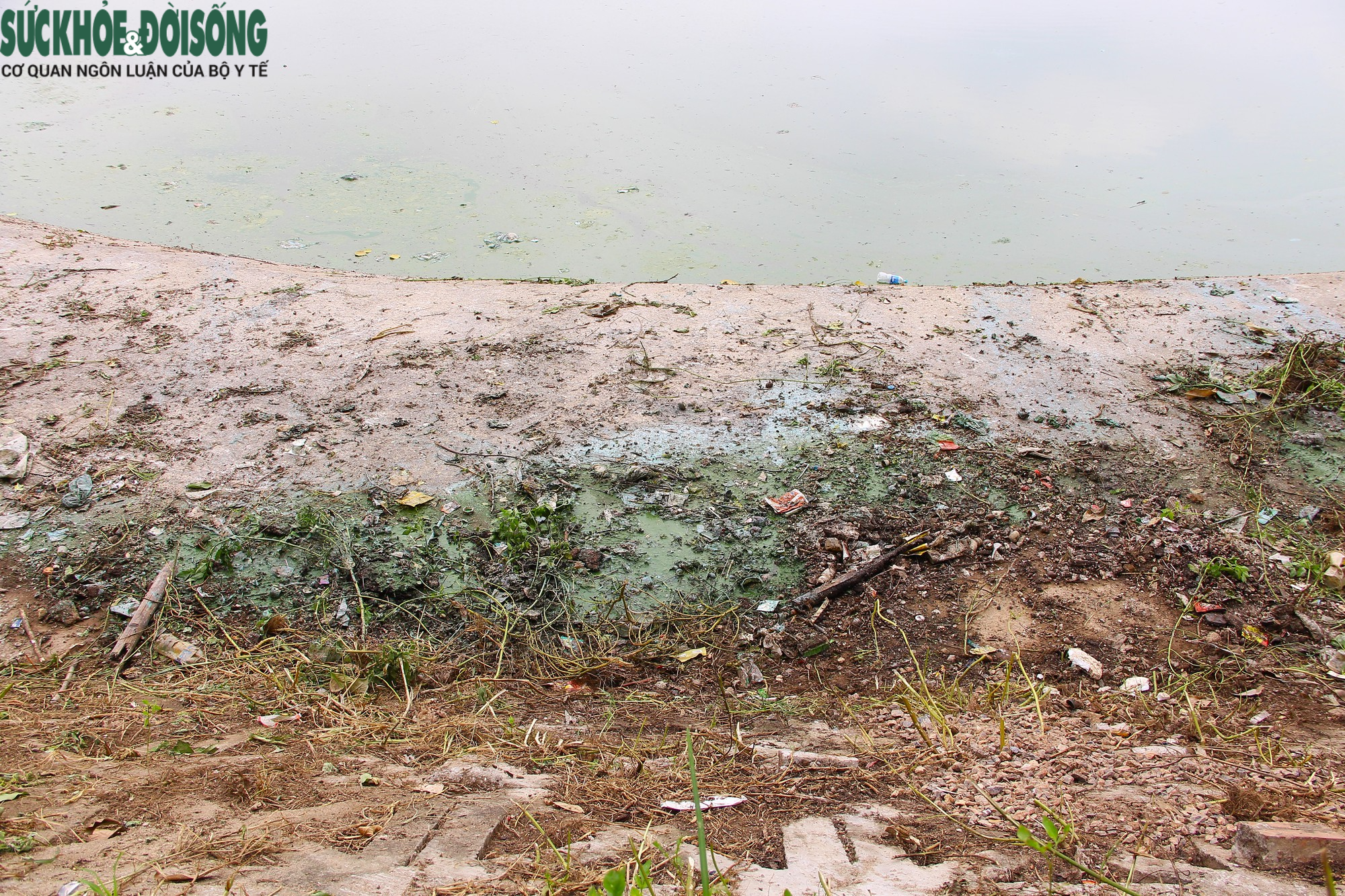 Hồ nước tại trung tâm Hà Nội ô nhiễm, mặt hồ nổi mảng bám, nước bốc mùi - Ảnh 7.