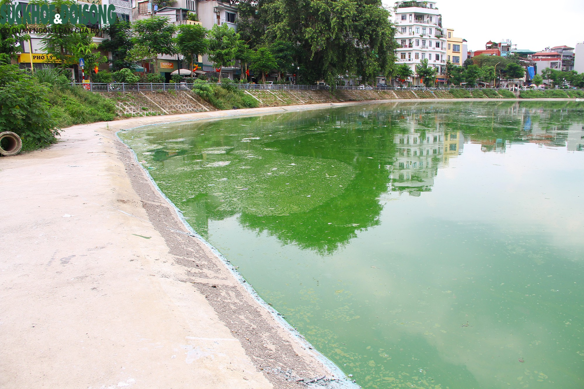 Hồ nước tại trung tâm Hà Nội ô nhiễm, mặt hồ nổi mảng bám, nước bốc mùi - Ảnh 9.