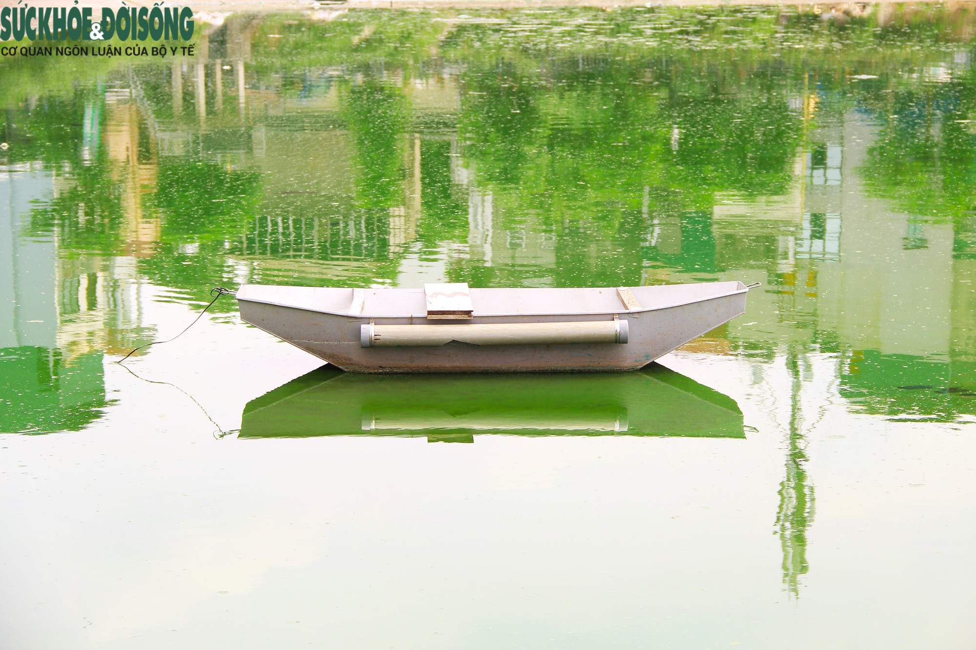 Hồ nước tại trung tâm Hà Nội ô nhiễm, mặt hồ nổi mảng bám, nước bốc mùi - Ảnh 12.