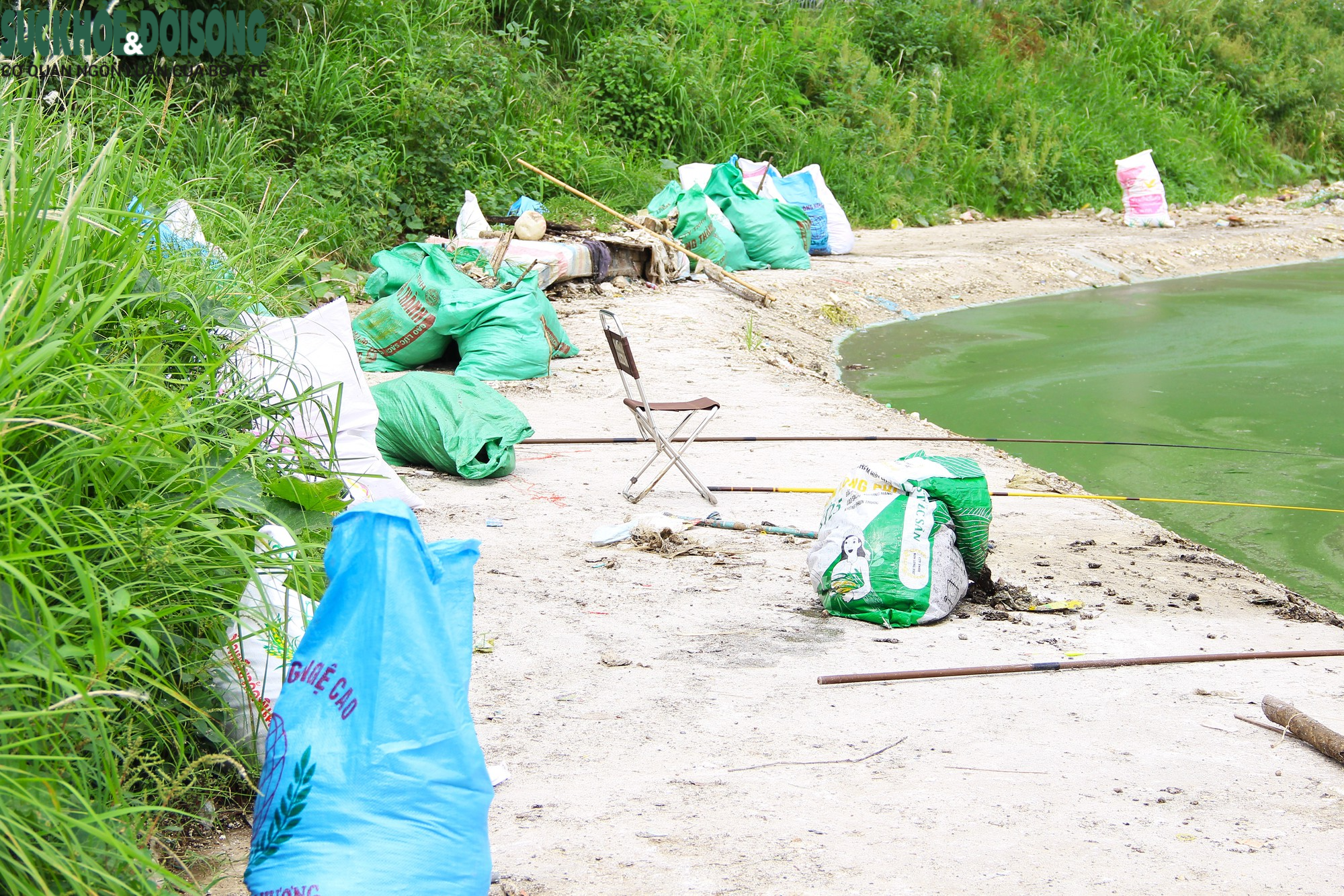 Hồ nước tại trung tâm Hà Nội ô nhiễm, mặt hồ nổi mảng bám, nước bốc mùi - Ảnh 13.