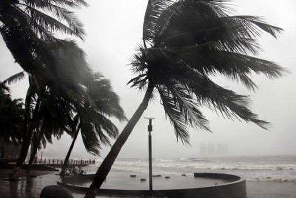 Siêu bão Saola quét qua Philippines khiến hàng trăm người phải sơ tán - Ảnh 1.