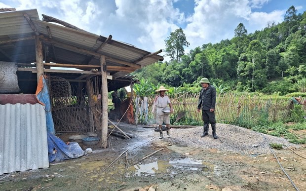 Lợn chết không báo cáo, Bắc Kạn bùng phát dịch tả lợn châu Phi