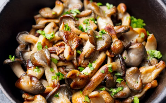 Nấm có thể giúp ngừa loãng xương và bệnh tim mạch?