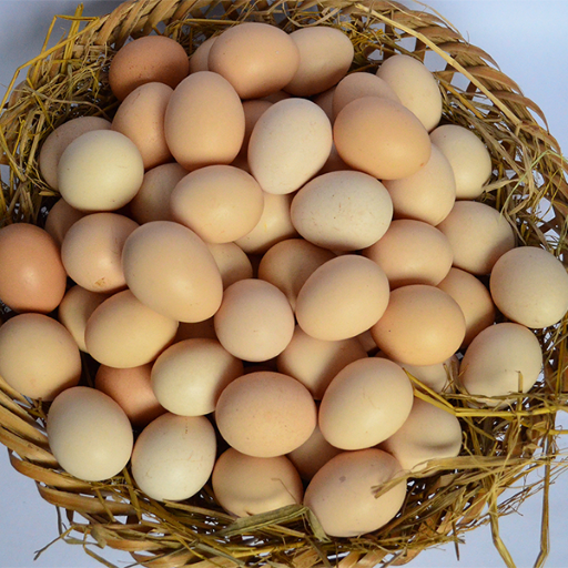Ăn trứng thế nào tốt cho sức khỏe? - Ảnh 1.