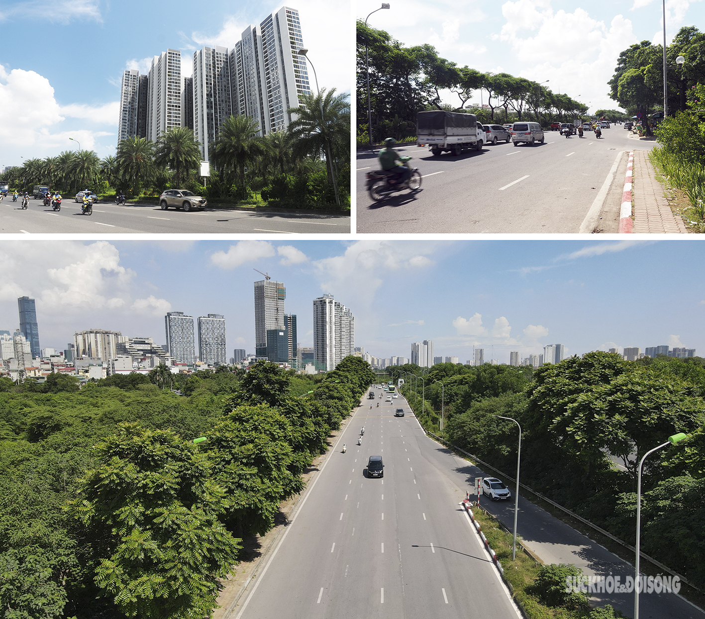 Đại lộ hiện đại nhất Việt Nam nhìn từ trên cao như một khu 'rừng tái sinh' - Ảnh 11.