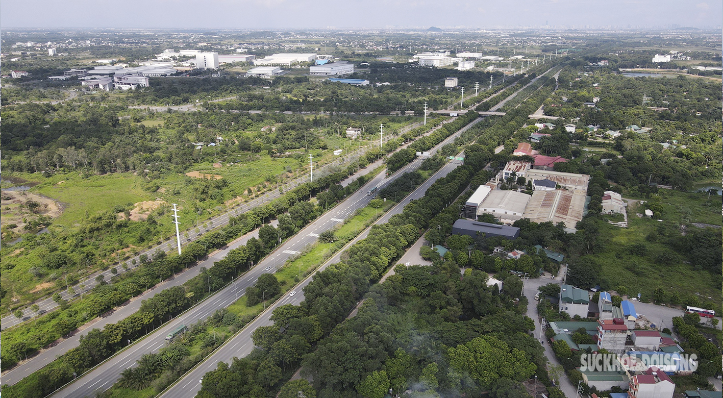 Đại lộ hiện đại nhất Việt Nam nhìn từ trên cao như một khu 'rừng tái sinh' - Ảnh 14.