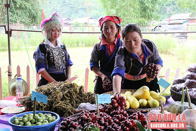 Phát triển chuỗi giá trị dược liệu bền vững gắn với du lịch - Ảnh 1.