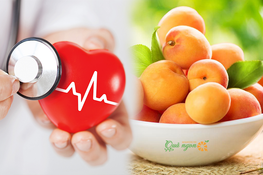 7 bước theo dõi và kiểm tra sức khỏe tim mạch tại nhà- Ảnh 2.
