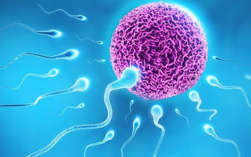6 cách cải thiện khả năng thụ thai một cách tự nhiên
