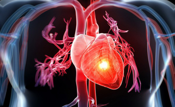 Mối liên hệ giữa vận động và sức khỏe tim mạch - Ảnh 2.