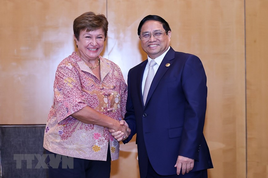 Thủ tướng hội kiến Tổng thống Indonesia, tiếp Tổng Giám đốc IMF - Ảnh 5.