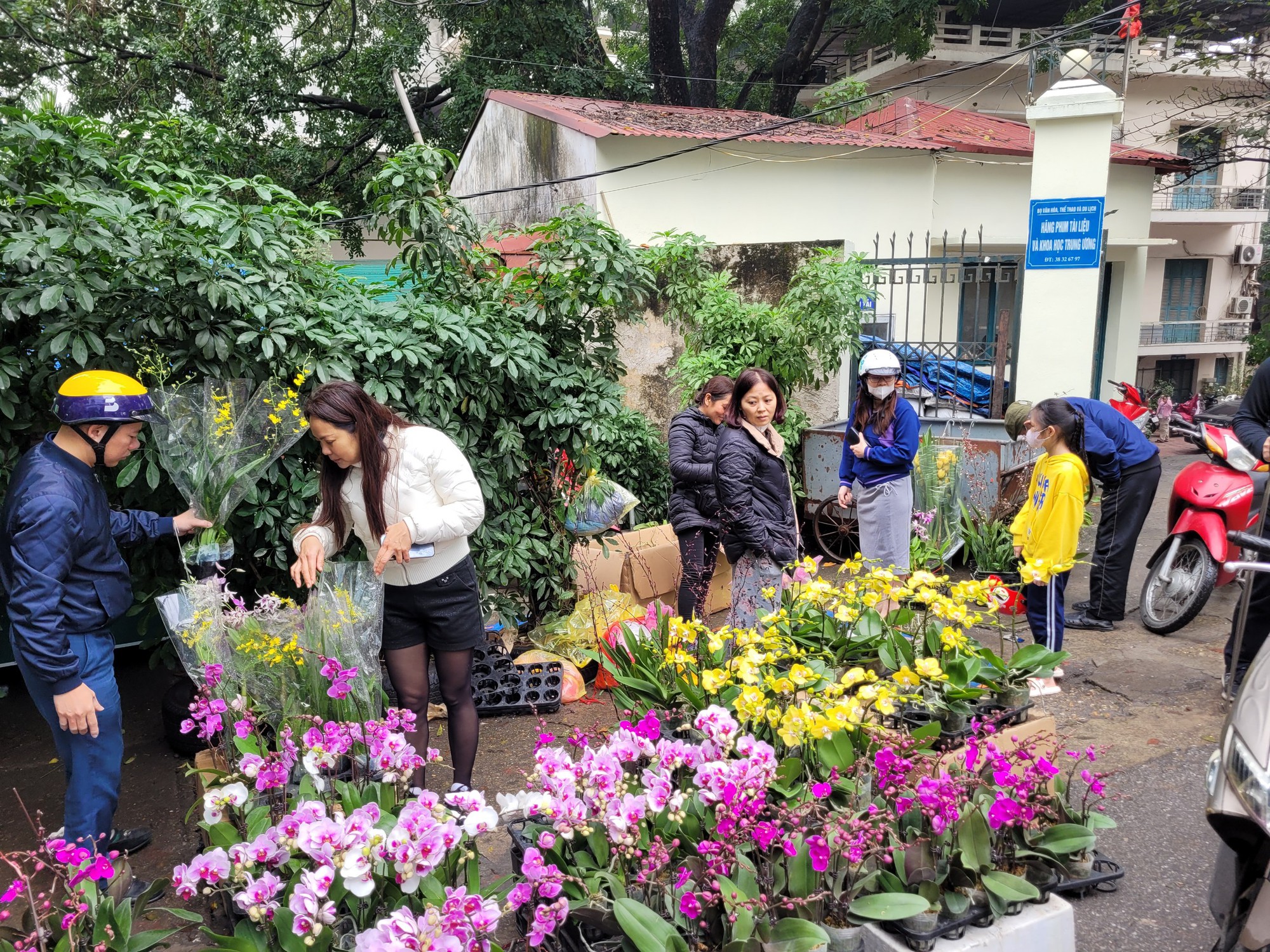 Hoa lan xuống phố ngày cận Tết, giá bán gấp đôi ngày thường, người tiêu dùng Thủ đô vẫn tranh nhau mua- Ảnh 12.