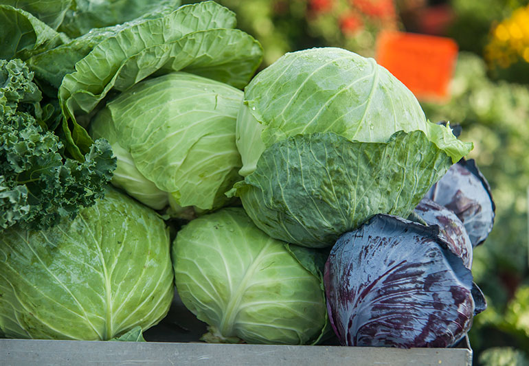 8 Health Benefits of Cabbage
