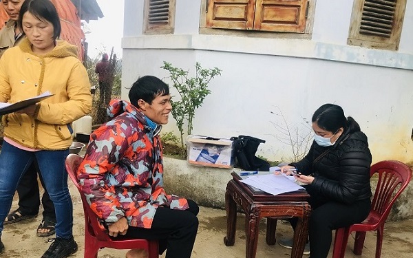 Trồng dược liệu cát cánh ở Nguyên Bình Cao Bằng giúp bà con thoát nghèo