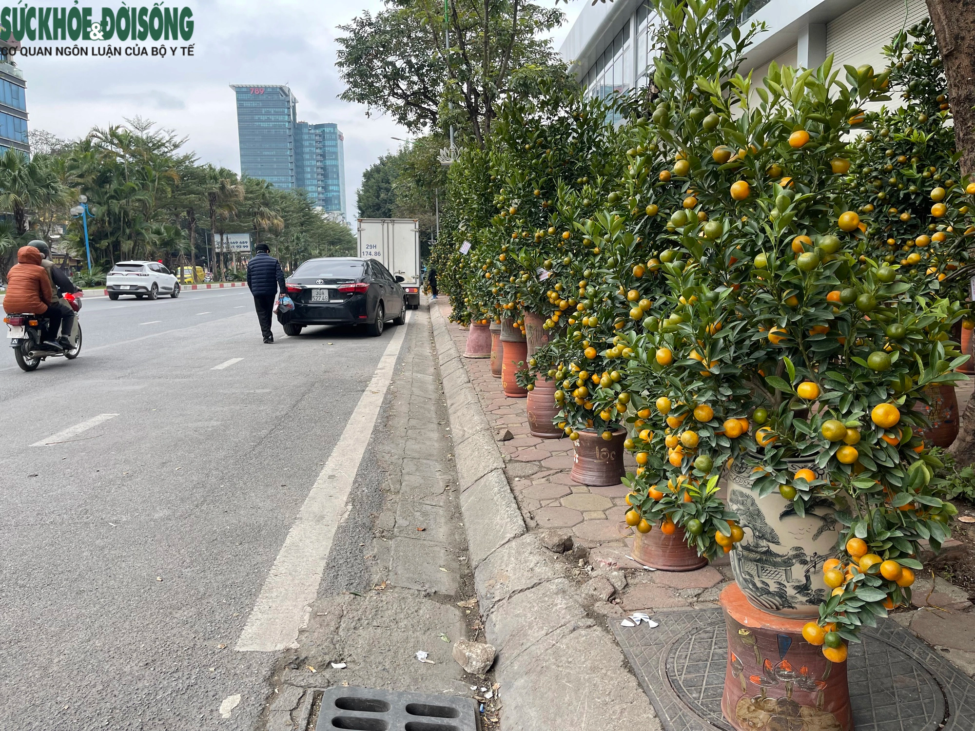 Vỉa hè Hà Nội thành chợ bán đào quất, 'đẩy' người đi bộ xuống đường- Ảnh 2.