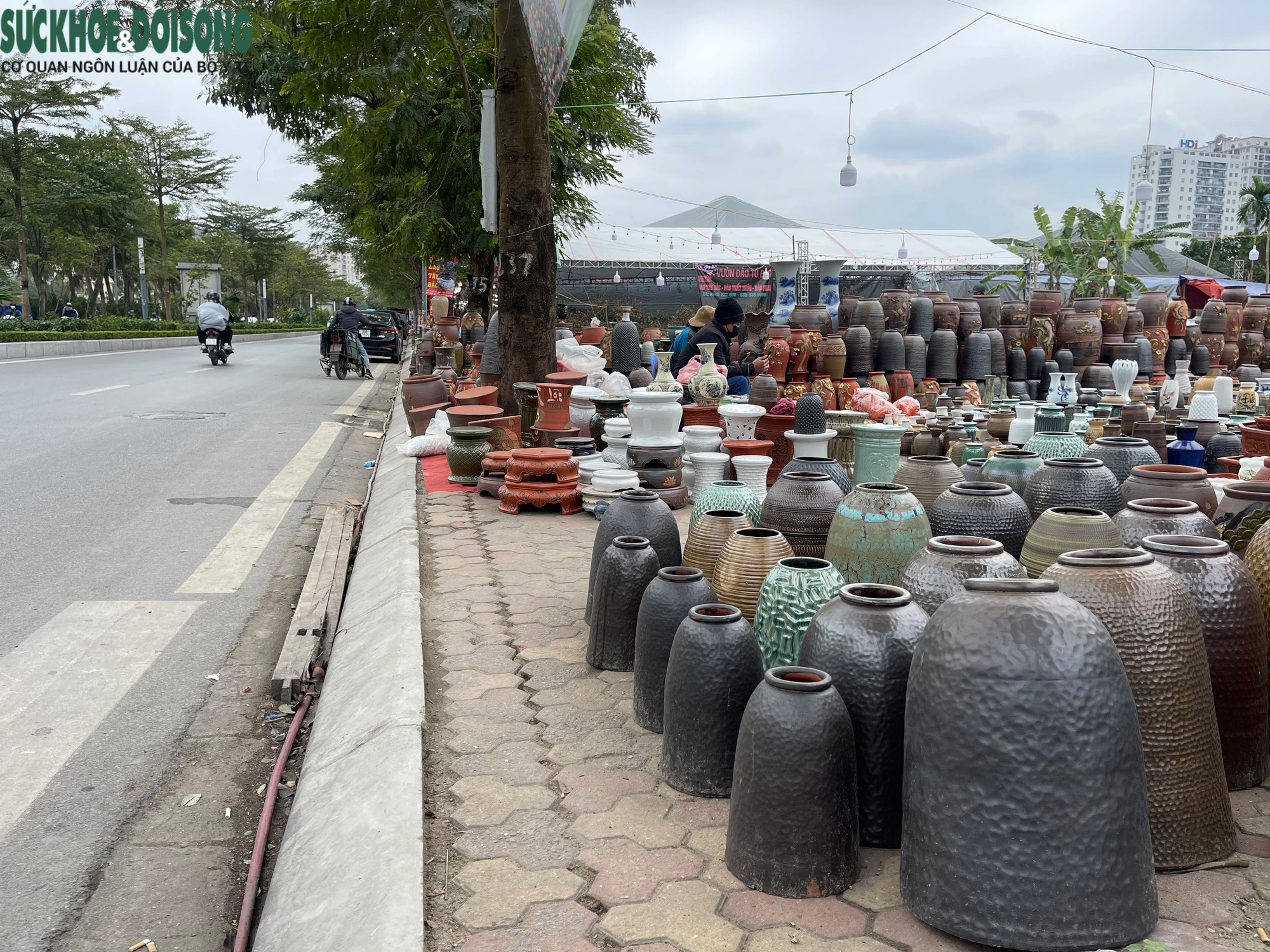 Vỉa hè Hà Nội thành chợ bán đào quất, 'đẩy' người đi bộ xuống đường- Ảnh 8.