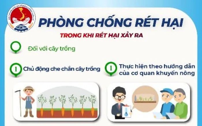 [Infographic] Kỹ năng phòng chống rét đậm, rét hại