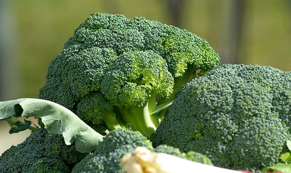 8 món ăn ngon bổ dưỡng từ bông cải xanh tốt cho sức khỏe- Ảnh 1.