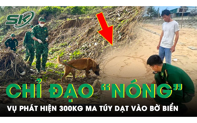 Quảng Ngãi chỉ đạo 