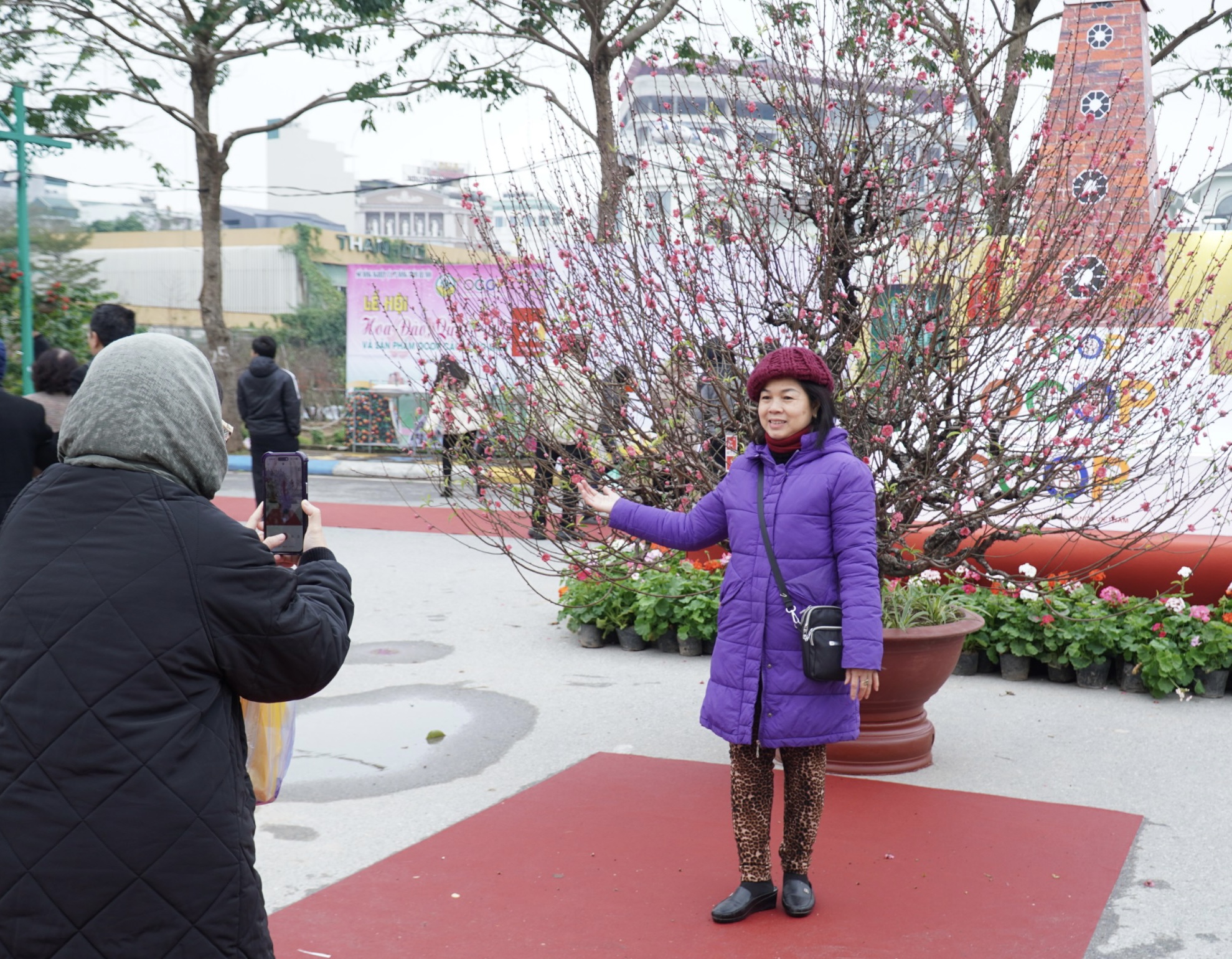 Lần đầu tiên Triển lãm Bonsai tre, Lễ hội hoa đào, quất cảnh được tổ chức tại Hà Nội- Ảnh 11.